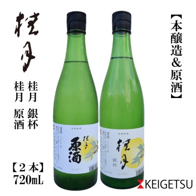 桂月　原酒&銀杯　720mL　2本セット　AB198