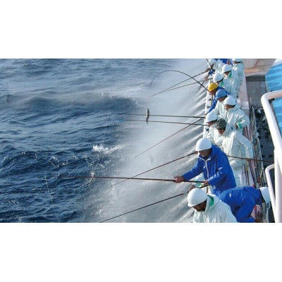 土佐料理司 鰹たたき2節セット【AD009】