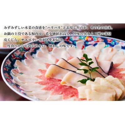 【先行受付】土佐料理司 高知本店 鯨ハリハリ鍋2人前【AD048】