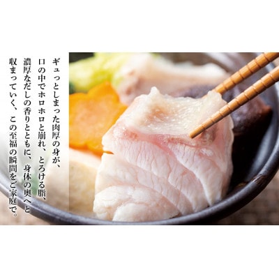 【先行受付】土佐料理司高知本店のクエ鍋3人前【AD005】