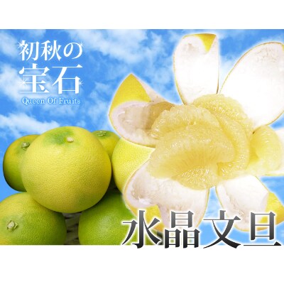 高知県産　水晶文旦　3kg/7玉【贈答用】【AF031】