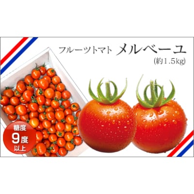 高知産フルーツトマト「メルベーユ」　約1.5㎏【AF071】