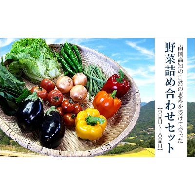季節の野菜詰め合わせセット【AF078】