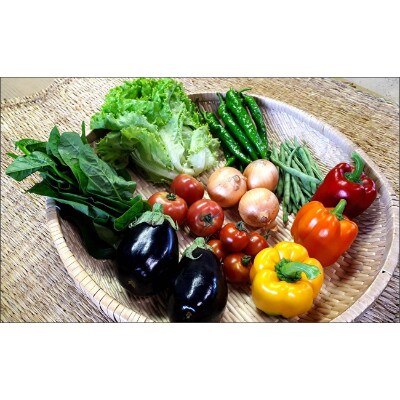 季節の野菜詰め合わせセット【AF078】