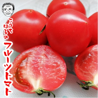 高知市春野町産 フルーツトマト (約1.3kg～約1.5kg)【AF019