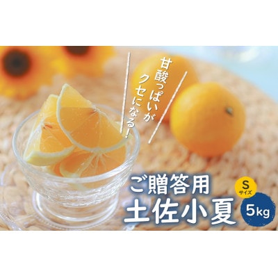 贈答用・高級品　土佐小夏　5kg/Sサイズ【AF005】