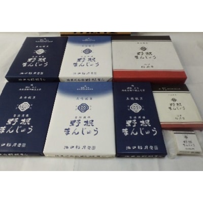 創業明治維新 浜口福月堂の野根まんじゅう 通常品全種【CT016】