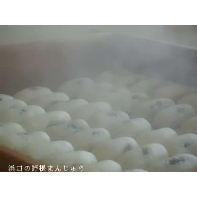 創業明治維新 浜口福月堂の野根まんじゅう 通常品全種【CT016】