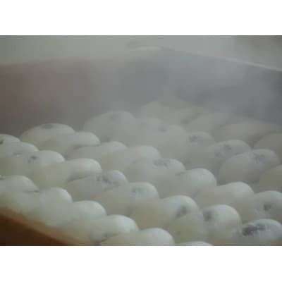 創業明治維新 浜口福月堂の野根まんじゅう 96個入(16個入6箱)【CT002】