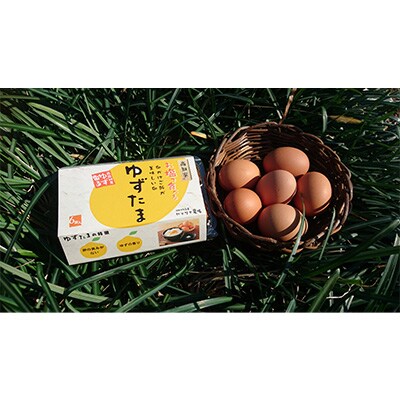 2023年4月発送開始『定期便』【新鮮野菜定期便卵付き】高知の季節野菜詰め合せセット全12回