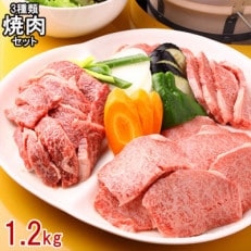 南国高知の土佐和牛焼肉セット1.2kg 高知県産 【CZ18】