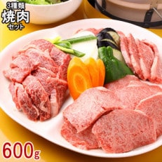 南国高知の土佐和牛焼肉セット600g 高知県産 (カルビ・ロース・モモ )【CZ16】