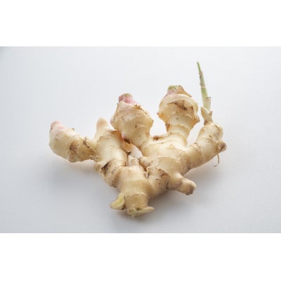 しょうがポン酢360ml×10本入り【BS010】