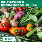 【栽培期間中農薬・化学肥料不使用】土佐の太陽をいっぱいに浴びた旬の野菜セット「大」【BA002】