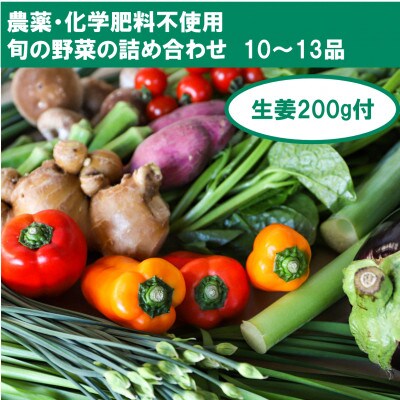 【栽培期間中農薬・化学肥料不使用】生姜200gと旬の野菜10～13品セット【BA004】