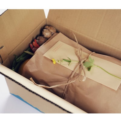 【栽培期間中農薬・化学肥料不使用】生姜200gと旬の野菜10～13品セット【BA004】