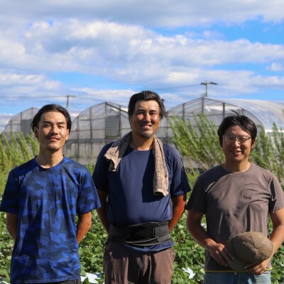 【栽培期間中農薬・化学肥料不使用】生姜200gと旬の野菜10～13品セット【BA004】
