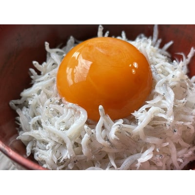 【訳アリ】大量、新鮮釜揚げしらすセット【BM004】