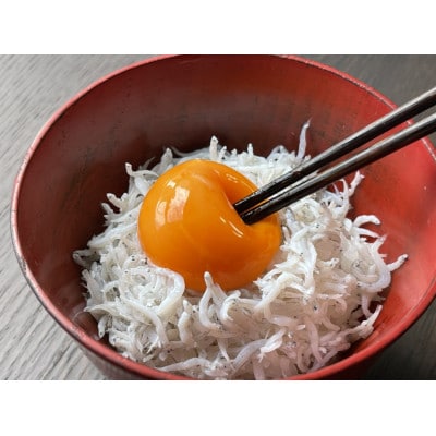 【訳アリ】大量、新鮮釜揚げしらすセット【BM004】