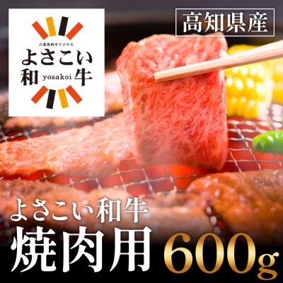 高知県産　よさこい和牛　焼肉用(600g)【AP063】