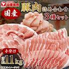 国産　豚肉　詰め合わせセット(計11kg)【AP042】