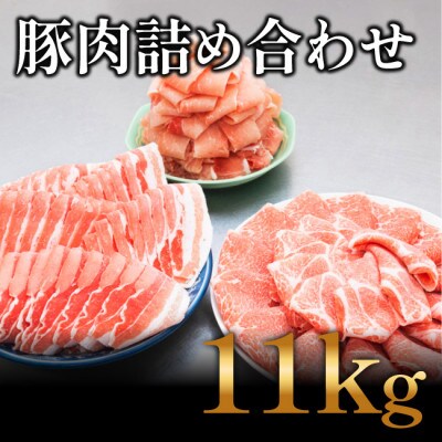 国産　豚肉　詰め合わせセット(計11kg)【AP042】