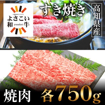 高知県産　よさこい和牛　(上)ロース　すき焼き&焼肉セット　各750g【AP040】