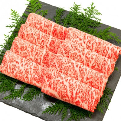 高知県産　よさこい和牛　(上)ロース　すき焼き&焼肉セット　各750g【AP040】