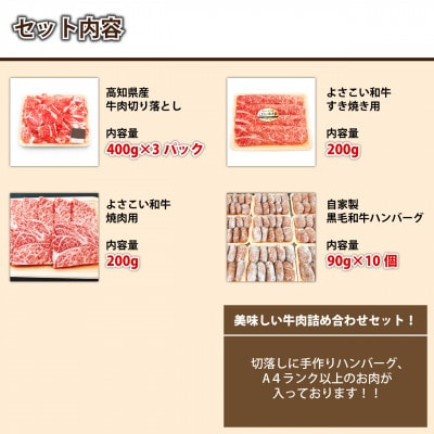 牛肉　いろどりセット　切り落とし・すき焼き・焼肉・ハンバーグ【AP059】