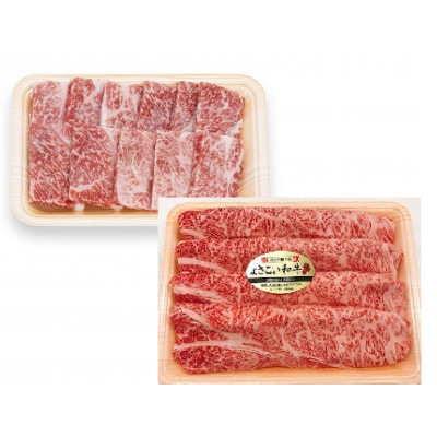 牛肉　いろどりセット　切り落とし・すき焼き・焼肉・ハンバーグ【AP059】