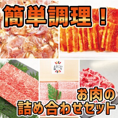 簡単調理!お肉の詰め合わせセット(計　約4.7kg)【AP009】
