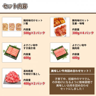簡単調理!お肉の詰め合わせセット(計　約4.7kg)【AP009】