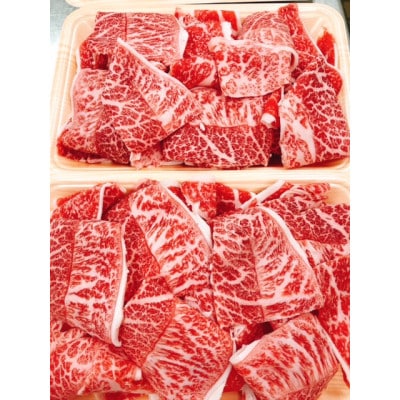 簡単調理!お肉の詰め合わせセット(計　約4.7kg)【AP009】