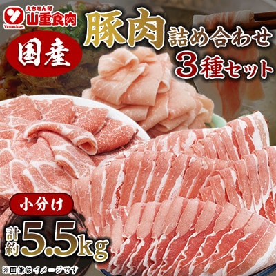 国産　豚肉　詰め合わせセット(計5.5kg)【AP041】