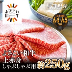 高知県産 よさこい和牛 (上)赤身 しゃぶしゃぶ用(約250g)(GW89)