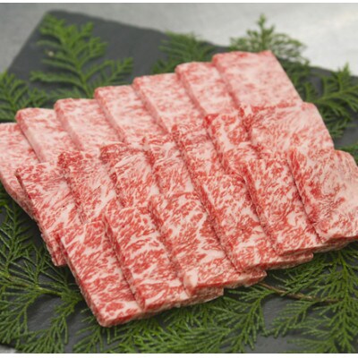 赤身がこじゃんと旨い!!　土佐あかうし　焼肉用　約200g【AP180】