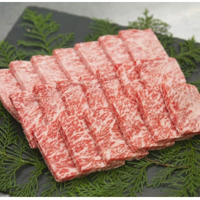 赤身がこじゃんと旨い!!　土佐あかうし　焼肉用　約450g【AP181】