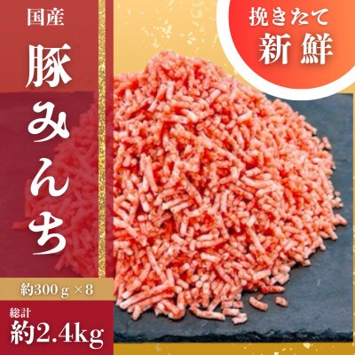 嬉しい小分け　挽きたて　国産　豚ミンチ　約300g×8個【AP172】