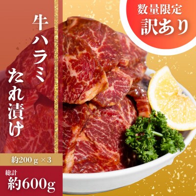 自家製　牛ハラミたれ漬け　約600g(約200g×3)　数量限定・訳あり【AP143】