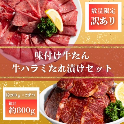 自家製　牛ハラミたれ漬け&牛タンスライス味付け　各約200g×2　合計約800g【AP162】