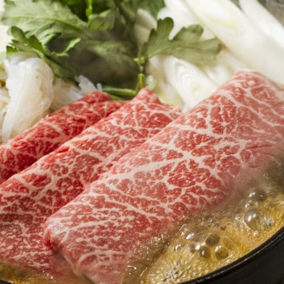 【毎月定期便】高知県産　よさこい和牛　(上)赤身　しゃぶしゃぶ用　約500g【AP122】　全12回