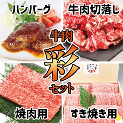 【毎月定期便】牛肉　いろどりセット　切り落とし・すき焼き・焼肉・手作り黒毛和牛ハンバーグ全3回