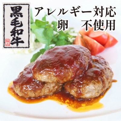 【毎月定期便】自家製　手作り黒毛和牛ハンバーグ　8個　【AP194】全3回