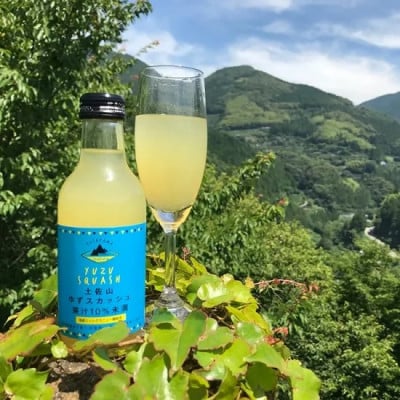 土佐山ゆずスカッシュ M(200ml) 20本入り【BH002】