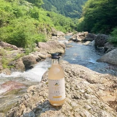 土佐山ジンジャエール辛口M(200ml) 20本入り 【BH004】