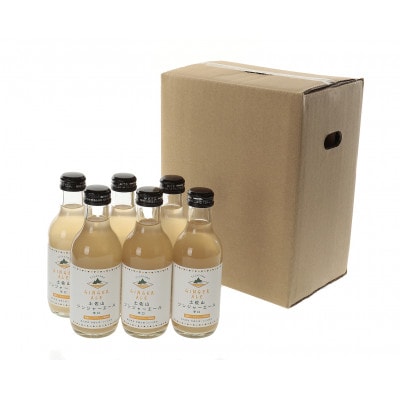 土佐山ジンジャエール辛口M(200ml) 6本入り 【BH006】
