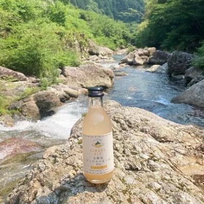 土佐山ジンジャエール辛口M(200ml) 6本入り 【BH006】