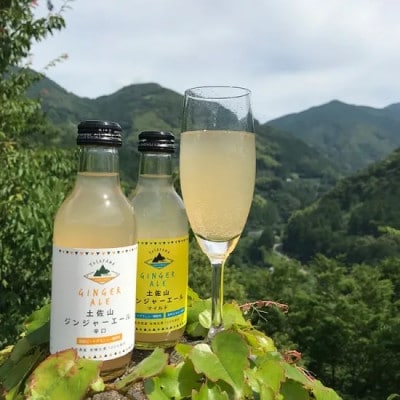 土佐山ジンジャーエール 飲み比べ4種セットA (200ml×12本入り)【BH007】