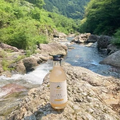 土佐山ジンジャエール辛口M(200ml)　4本セット【BH012】