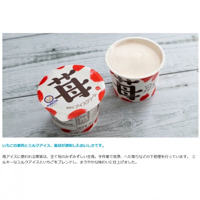 久保田食品のバラエティーカップ Aセット　アイスギフトセット【AC207】